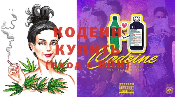 амф Липки