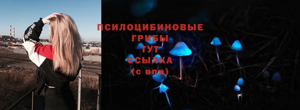амф Липки