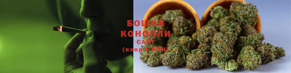амф Липки