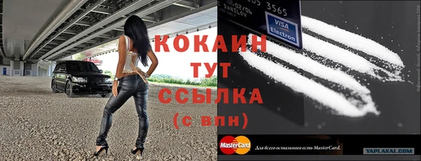 амф Липки