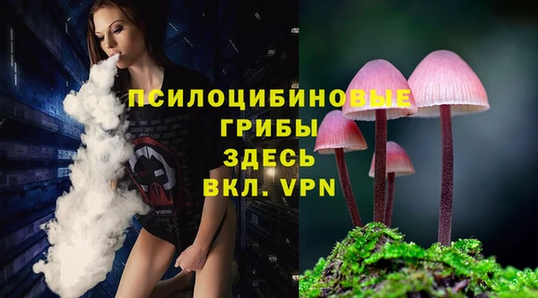 амф Липки