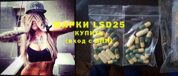 амф Липки